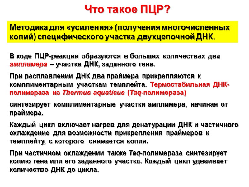 Что такое ПЦР? Методика для «усиления» (получения многочисленных копий) специфического участка двухцепочной ДНК. В